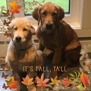 Meet your Posher, Terrie